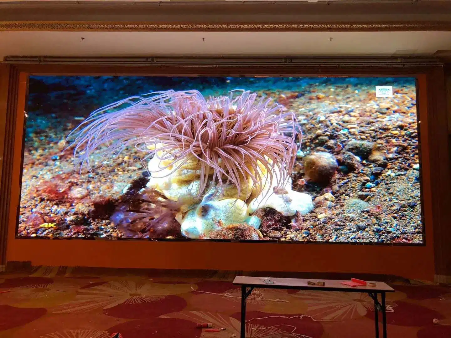 Outdoor P4.81 Full Color 3840 Hz Rental LED Display Video Wall for Advertising Screen (P2.976/ P3.91)