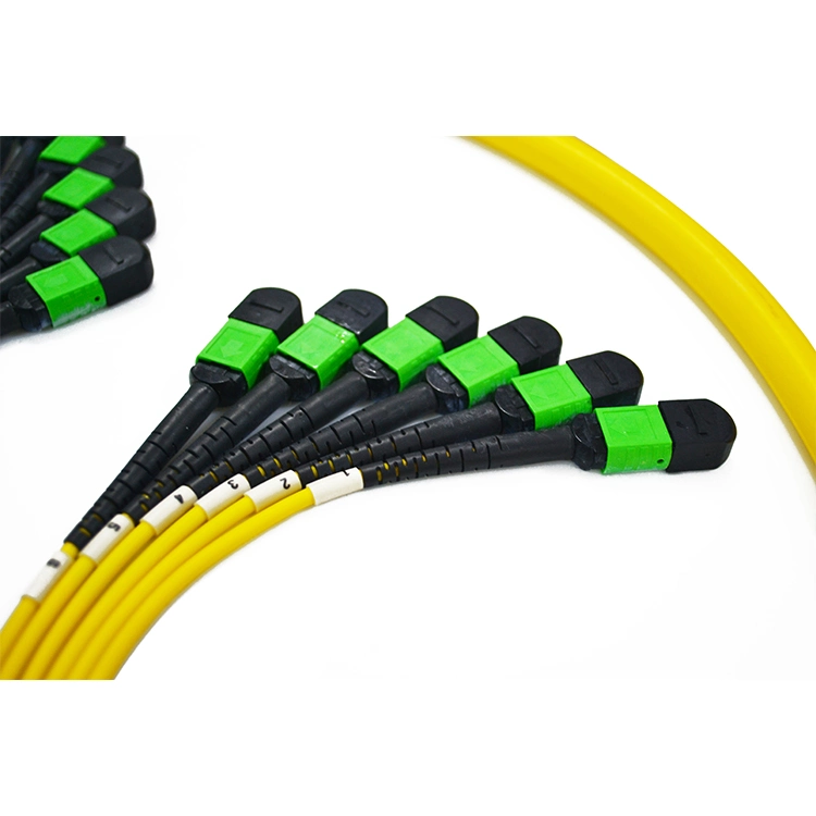 MPO/APC Fiber Optic Trunk Cable 24core 48core Sm Ofnp