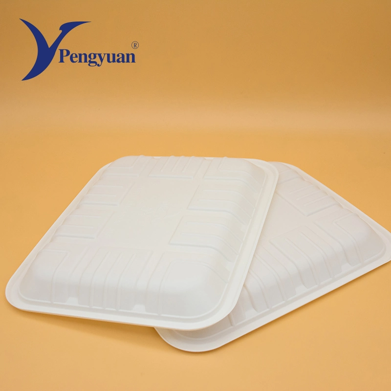 Corn Starch Disposable Paper Food Tray