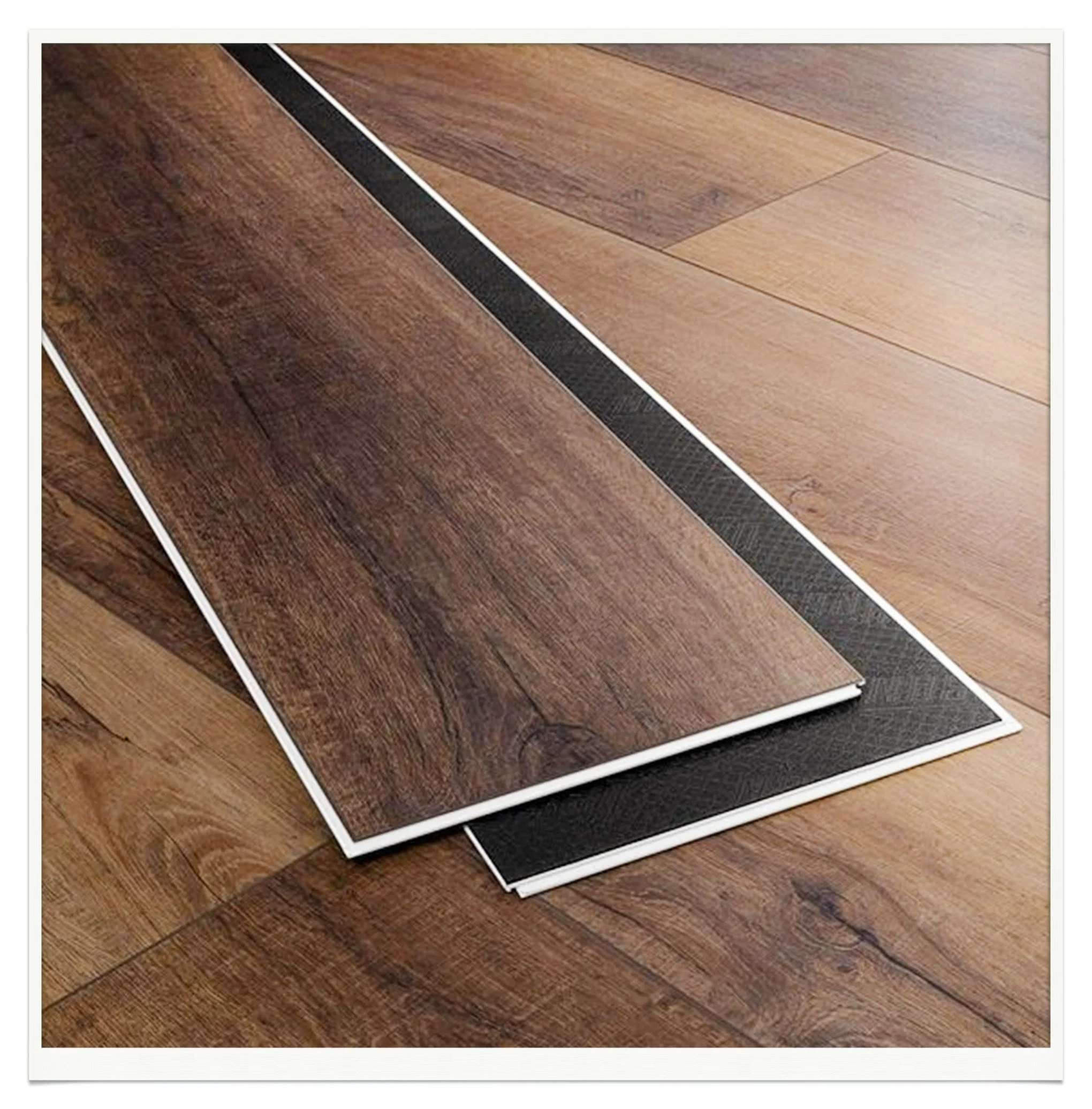Moderno impermeable Popular Interior Click rígido núcleo Plank plástico SPC Pisos de vinilo laminado