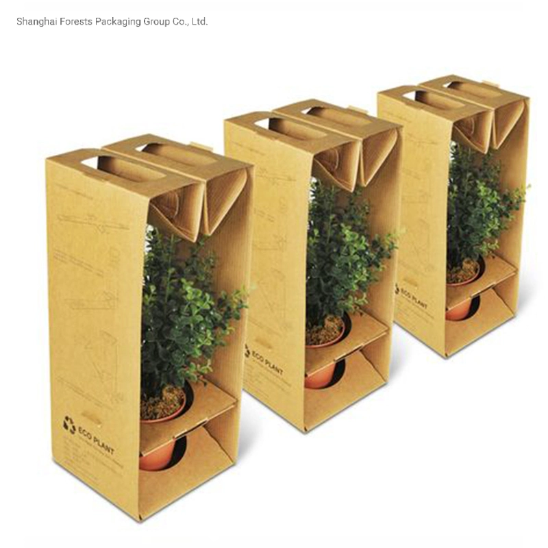 Wholesale/Supplier Custom Logo Real Artificial Plant Pots Corrugated Paper Box Succulent Plant Pot Shipping Packaging Box Custom Business Shipping Boxes