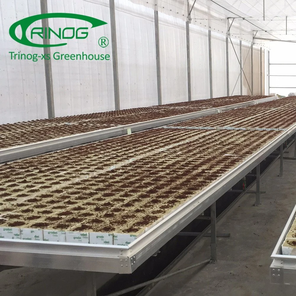 Agriculture Vegetables Commercial Multi-span Film Greenhouse with Cultivation Hydroponics System