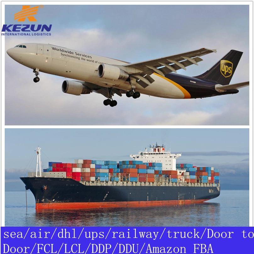 Air/Sea Freight Forwarder Shipping Agent From China to Brazil DDP