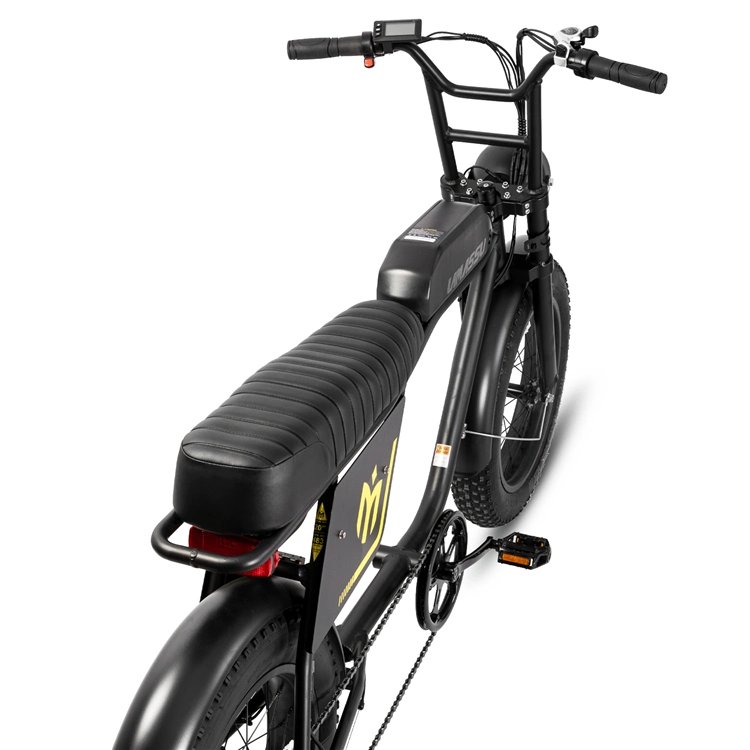 Joykie High quality/High cost performance 750W City Cruiser Commuter Chopper Fat Tire Electric Motorbike Bicycle