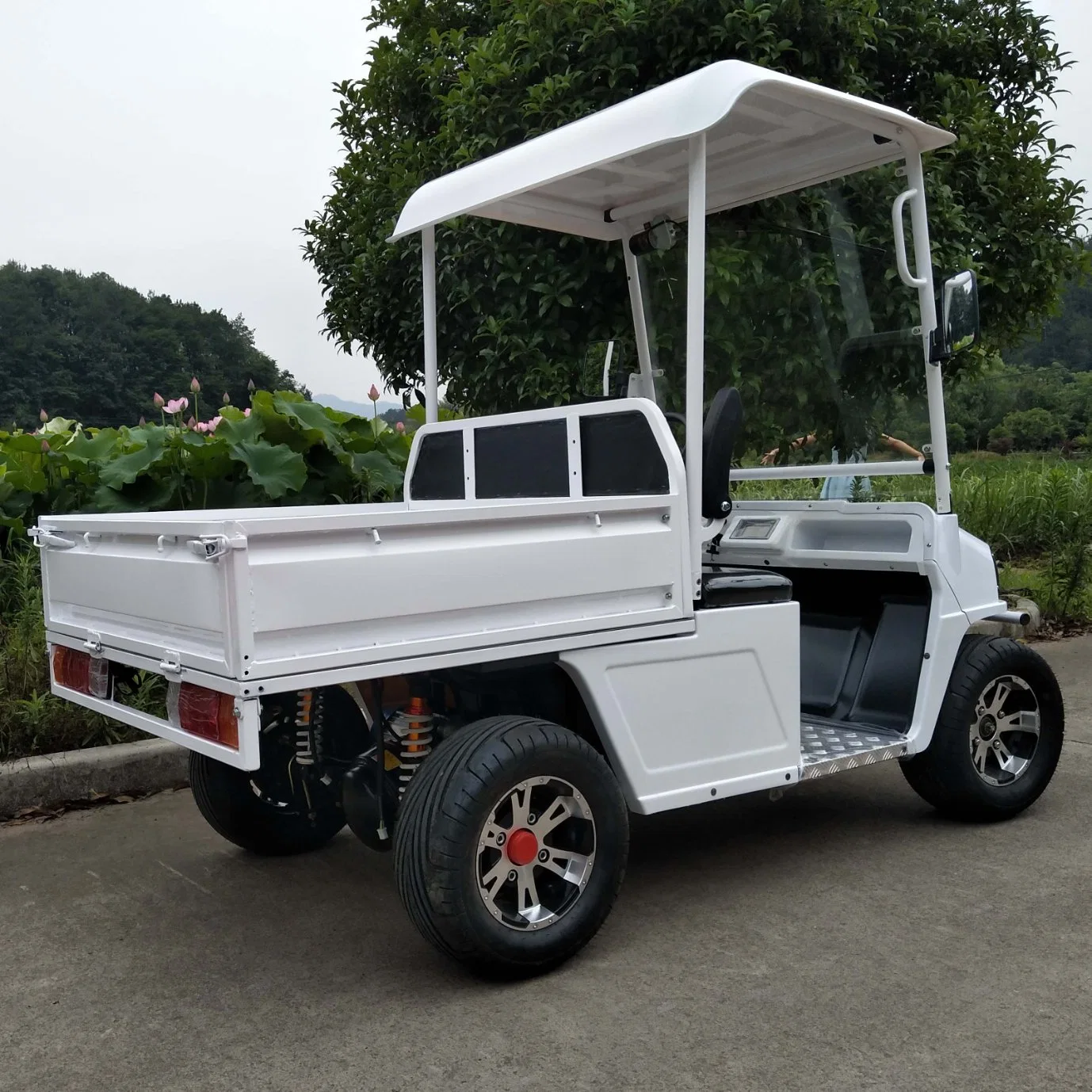 Новый дизайн Оптовая торговля мобильность Scooter Мини Utility Golf Carts Electric Пикап. Самосвал