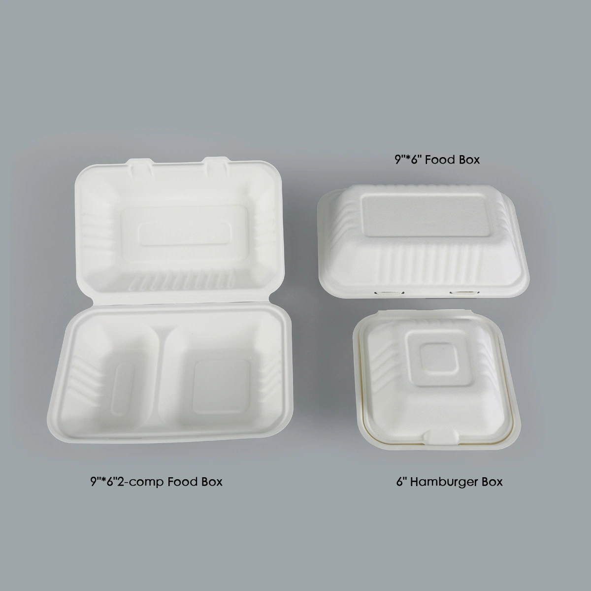 Sugarcane Pulp Disposable Food Box/Hamburger Box (U-108)