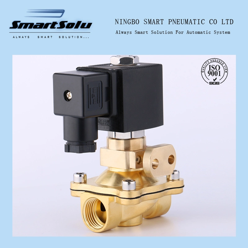 Customized Plastic Brass Stainless Steel Two Way Solenoid Valve