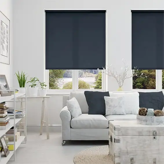 Tuya WiFi Alexa Zigbee Double Zebra Window Roller Shades Blinds