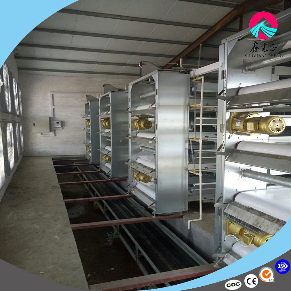 Cheap Price Layer Egg Chicken Cage for Poultry Farm House