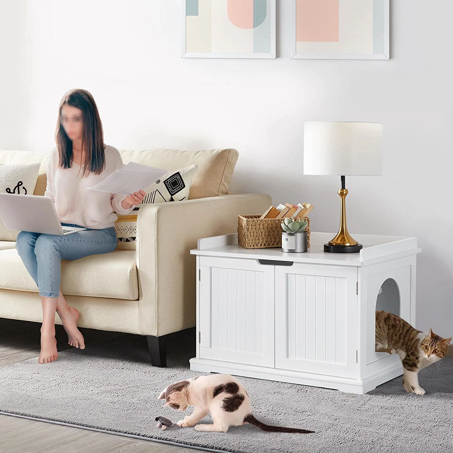 Pet Furniture Multifunctional Cattery, Spacious Storage Space for Cats and Dogs in The House, Usable as a Side Table