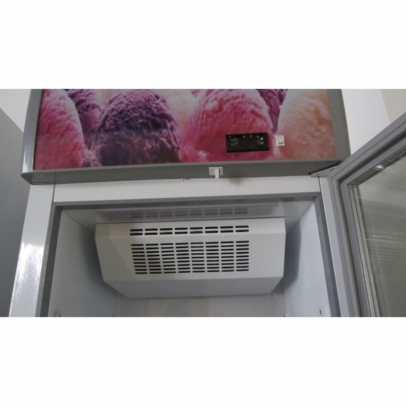 Desktop Single Glass Door Mini Freezer (SD-55)