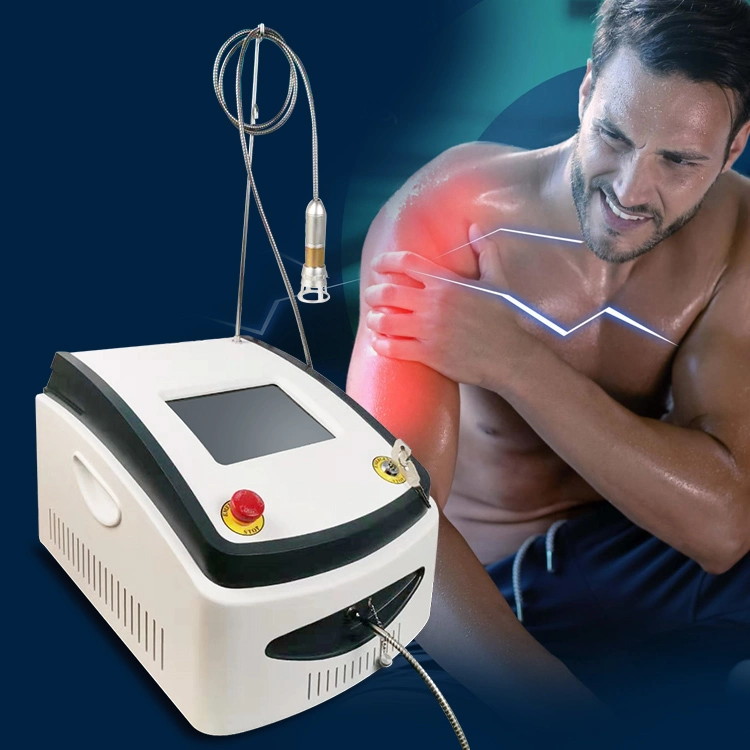 LLllt Horse Massage 808nm Portable Acupuncture Laser frio de baixo nível Dispositivo de acupuntura terapêutica para alívio de dor de artrite comum