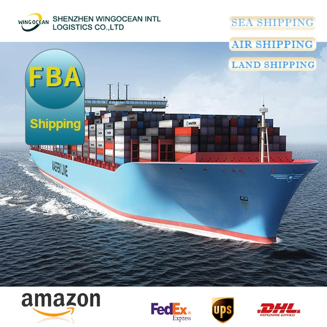 Más barato y más rápido Transporte marítimo Forwarder cooperar Logística Servicio de Forwarder Envío desde China a EE.UU./ Canadá/ Europa