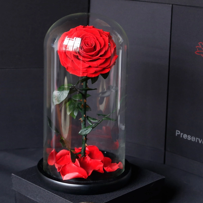 El mejor diseño hecho a mano flor conservada 7-8cm Timeless Rose Head Flores decorativas