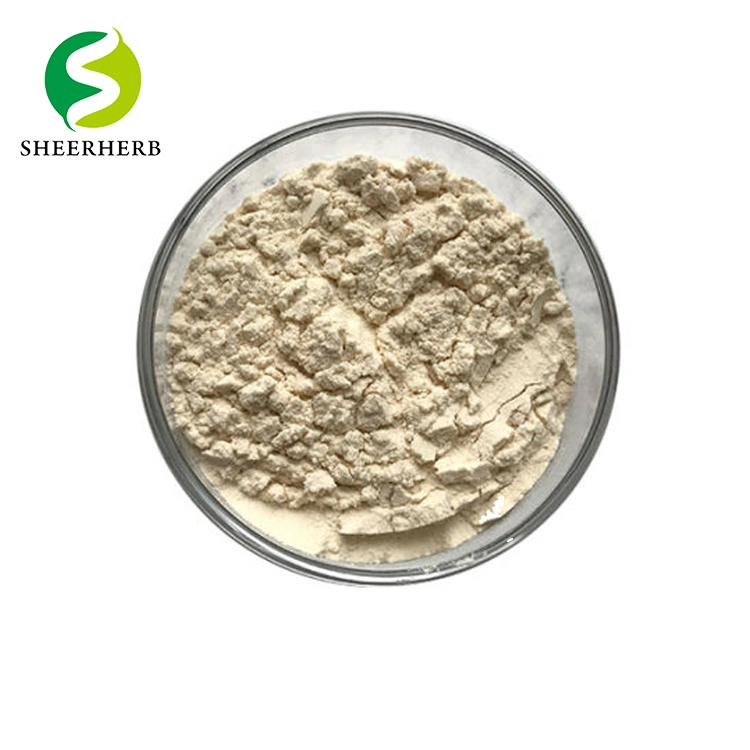 Top Quality Carob Bean Gum Sophora CAS 9000-40-2 Bean Gum Powder