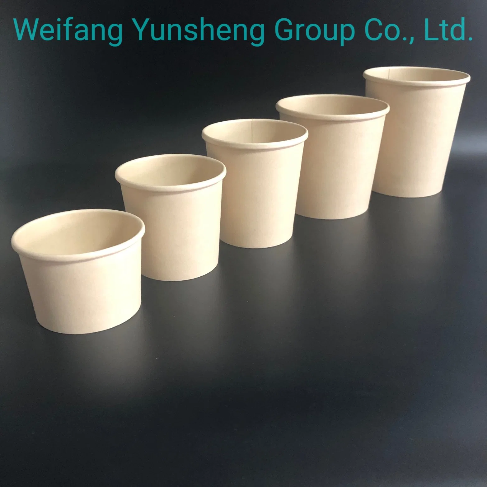 Soup Cup/Container with Lid Soup Take Away Containers Disposable Tableware Manufacturer