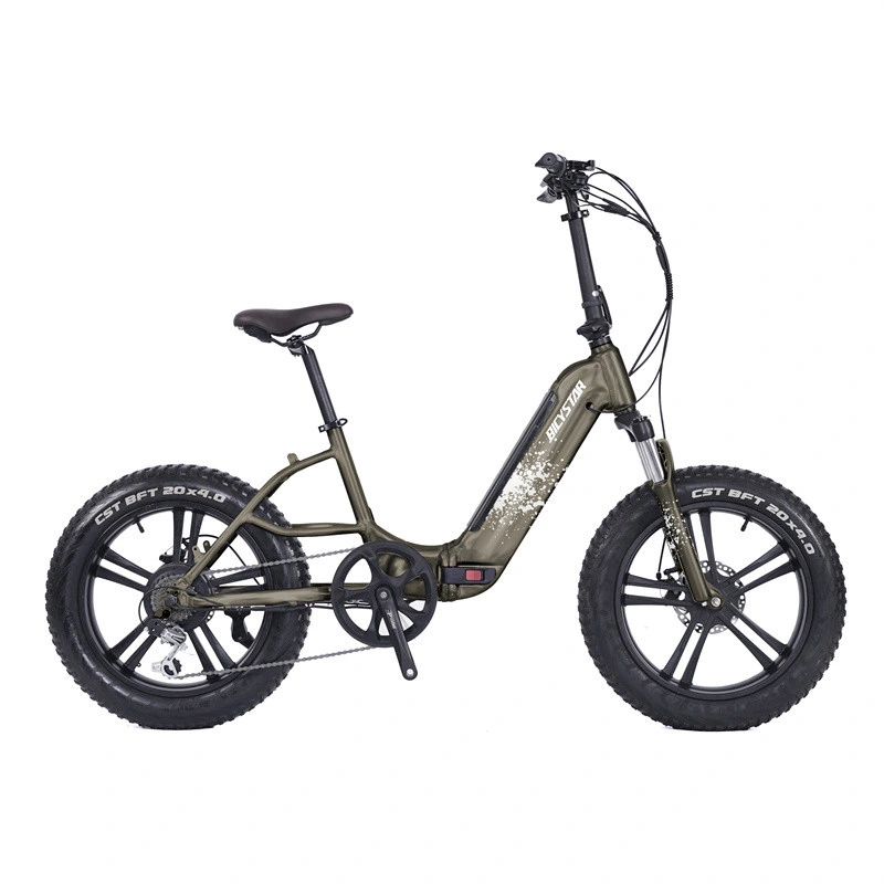 Japanese Adult 1000W Electric Fat Tire Bike 20 Inch MID Drive