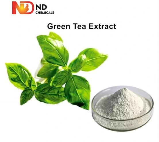 Feed Grade Affordable Green Tea Extract with High Standard High quality/High cost performance 