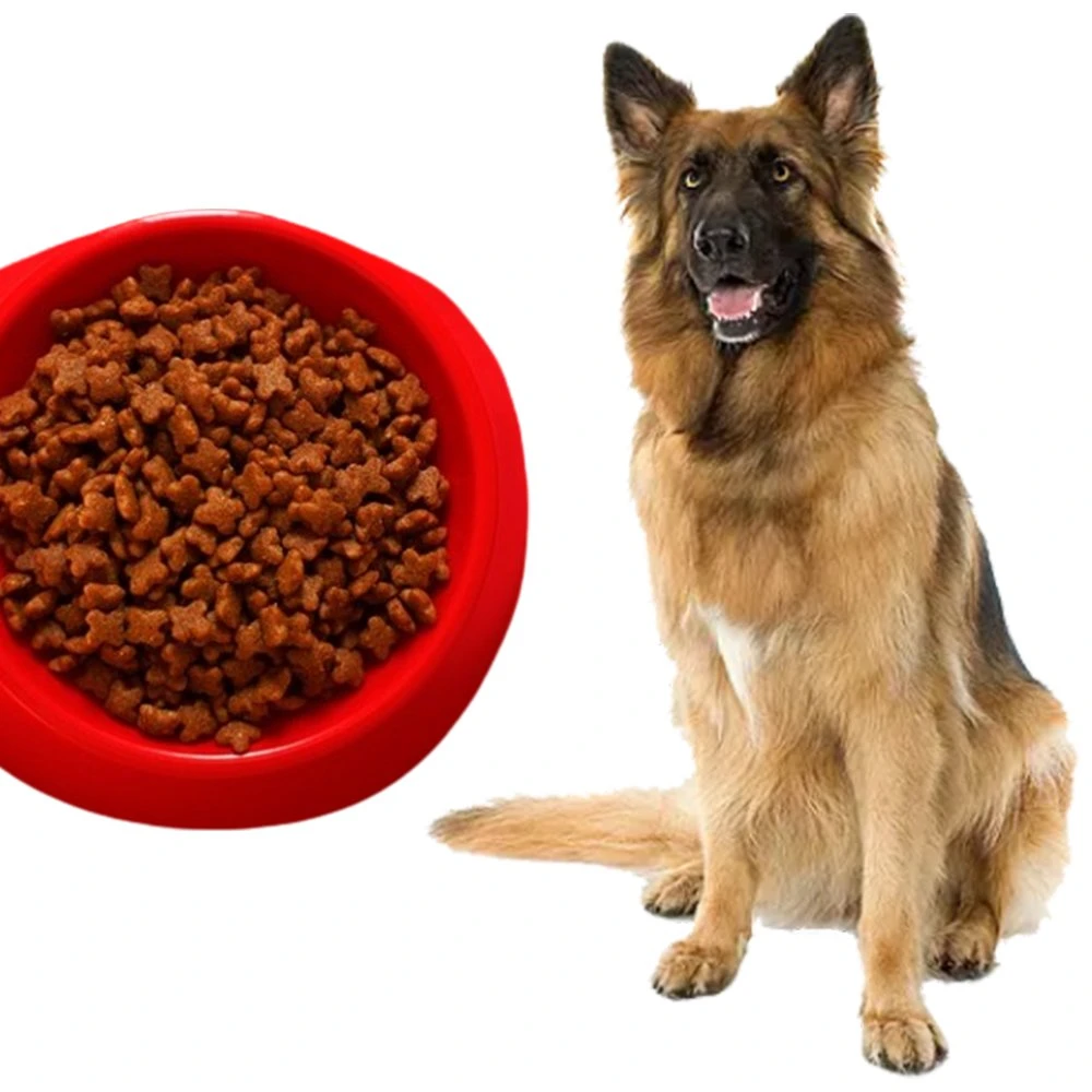 Improve Immune Systems Organic Palatability Pet Food Dry Dog Food