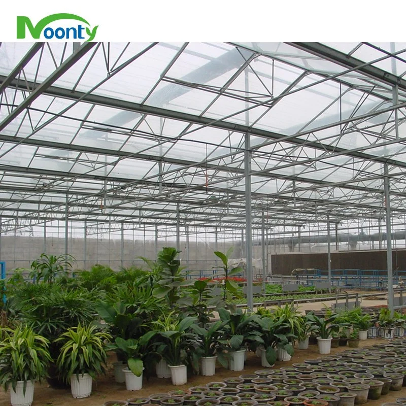 Modern Multi-Span Glass Greenhouse with Hydroponics System for Tomato/Flower/Cucumber/Lettuce/Pepper Planting/Blueberry