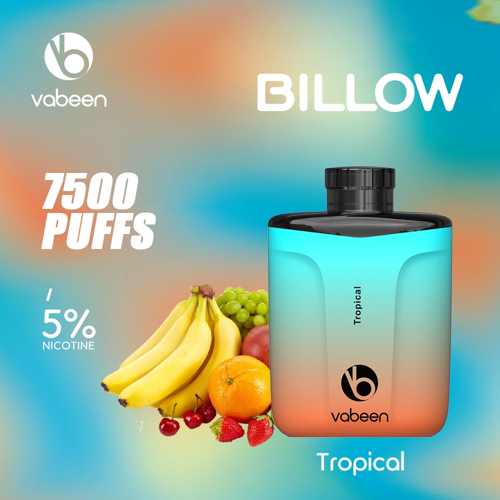 Vabeen Billow Wholesale/Supplier I Vape E Cigarette ODM Rechargeable Disposable/Chargeable Vape Pen 7500 Puff Bar