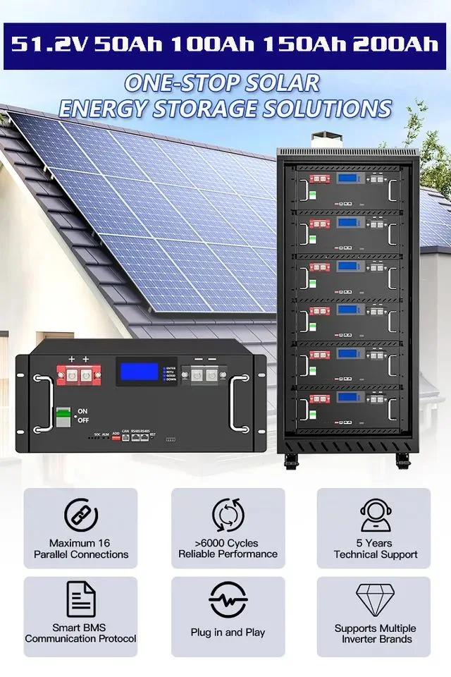 Parallelable Lithium Battery 50ah 130ah 100ah 200ah Cabinet Solar Power 5kwh Energy Storage 51.2V 48V LiFePO4 Battery