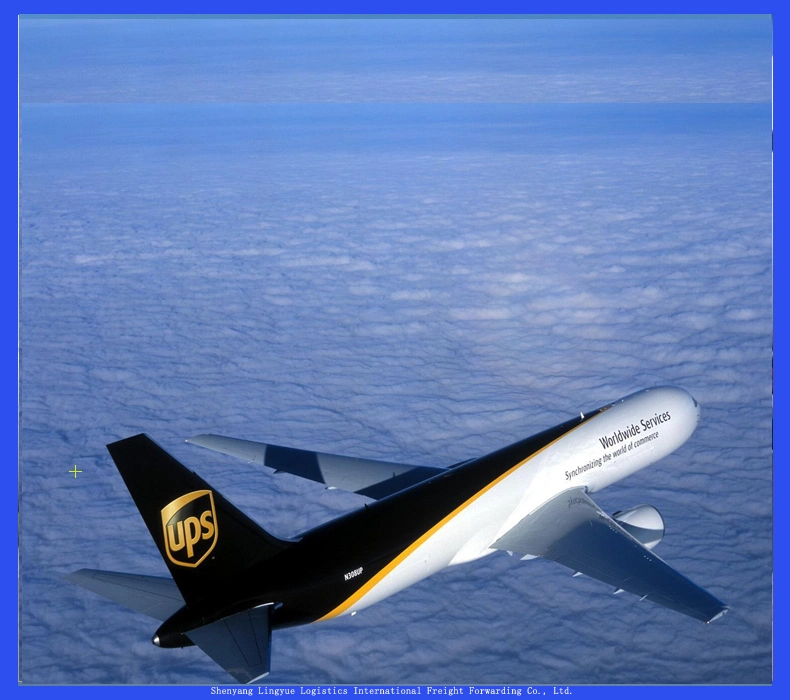 International Express From China Shenzheng/Shenyang to FedEx/UPS/DHL Door to Door Services