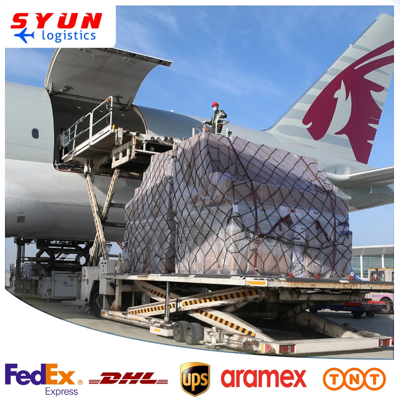 Cheap Logistics Express Services DHL FedEx UPS From China to Nepal