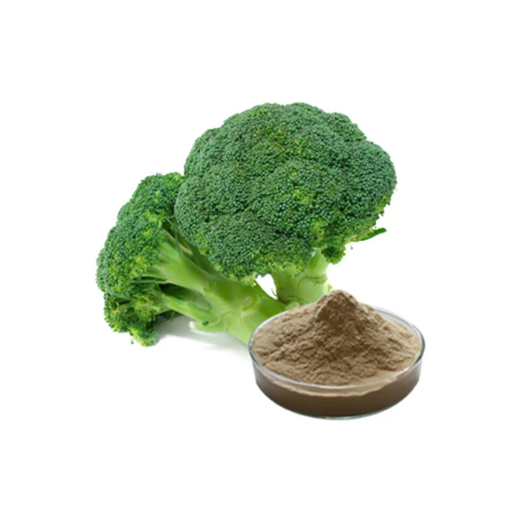 Anti Cancer Broccoli Extract Powder