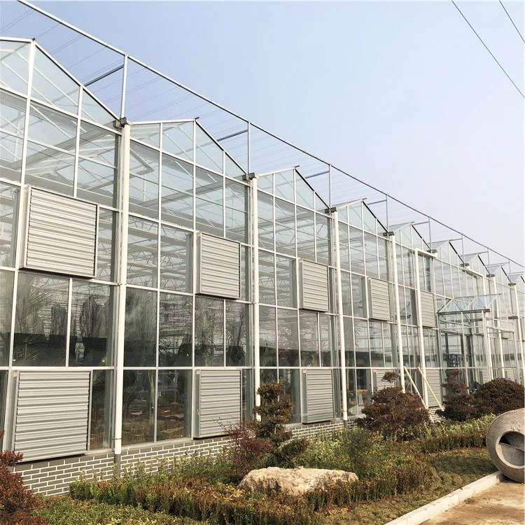 2023 Factory Supply Agricultural Glass Greenhouse for Hydroponic Vegetables/Fruits