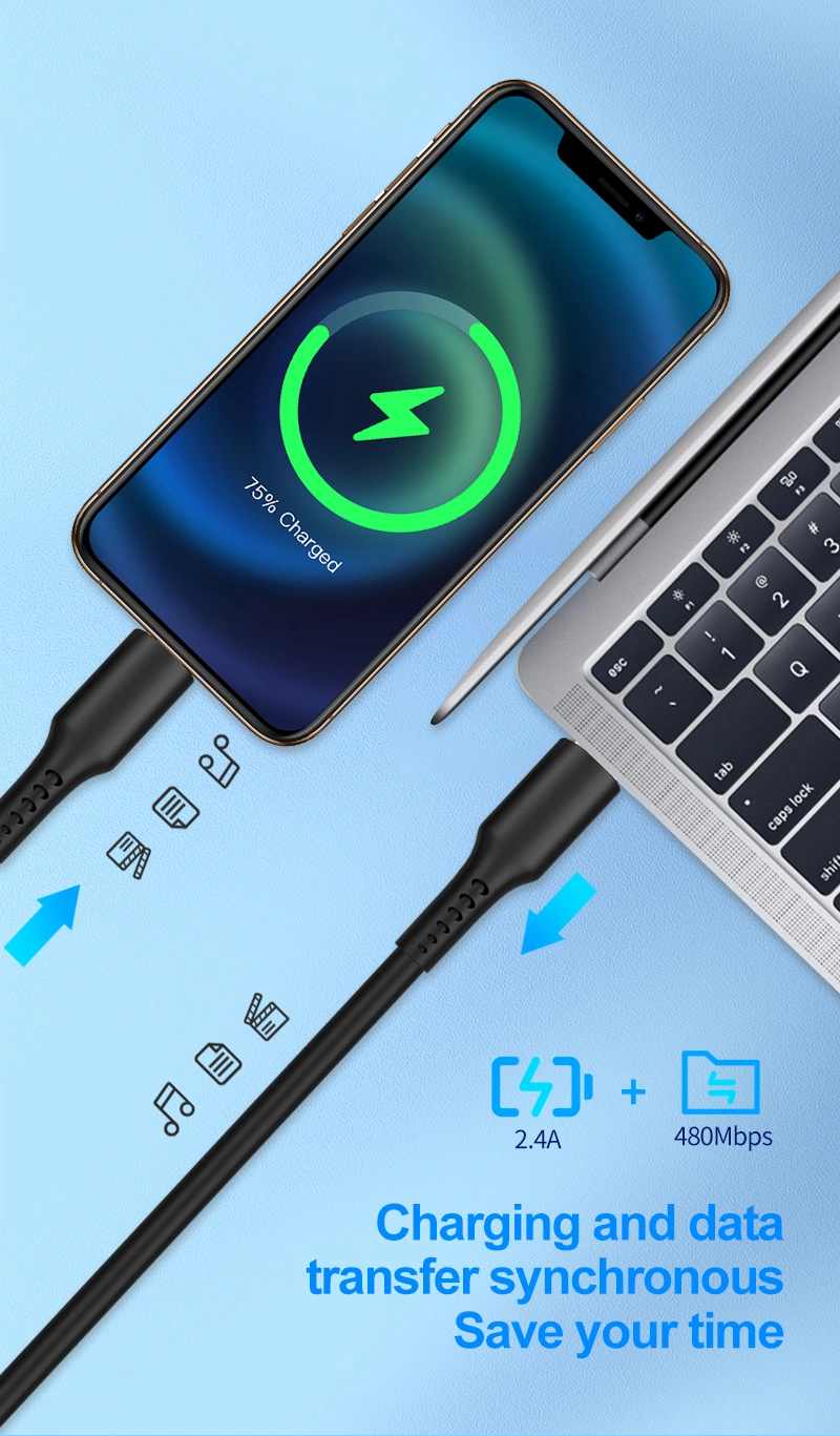 Un rayo de la fábrica de ifm ifm Cable cargador USB certificado C a Lightning Cable para iPhone iPad iPod