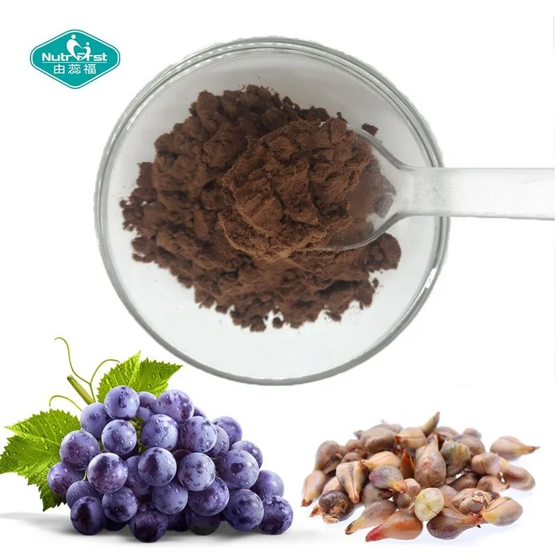 Plant Extract Factory Grape Seed Extract Polyphenols 80% Proanthocyanidin Powder 95% Grape Fruits Seed P. E.