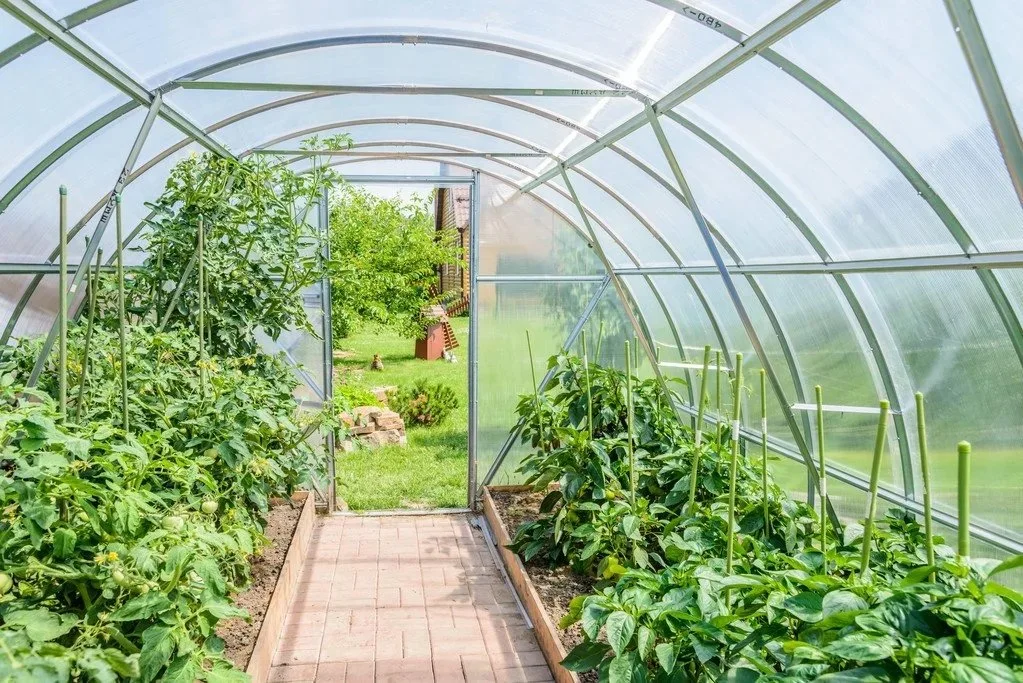 Landwirtschaftliche/kommerzielle Mehrspan-Polycarbonat/PC-Board/Glas/Plastikfolie pflanzliches Gewächshaus