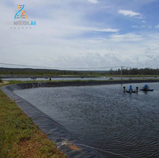 Resistencia al impacto Geotécnica proyecto Geotextil tejido o Liner de Pond personalizado Agricultura Geomembrana