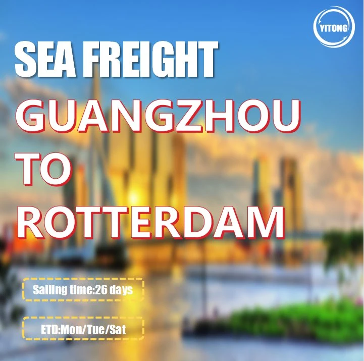 Ocean Freight Rate 20 Container From Guangzhou to Rotterdam