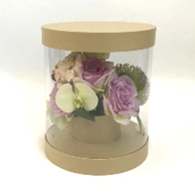 Hot Sale Clear PVC Round Tube Cylinder Transparent Flower Display Box