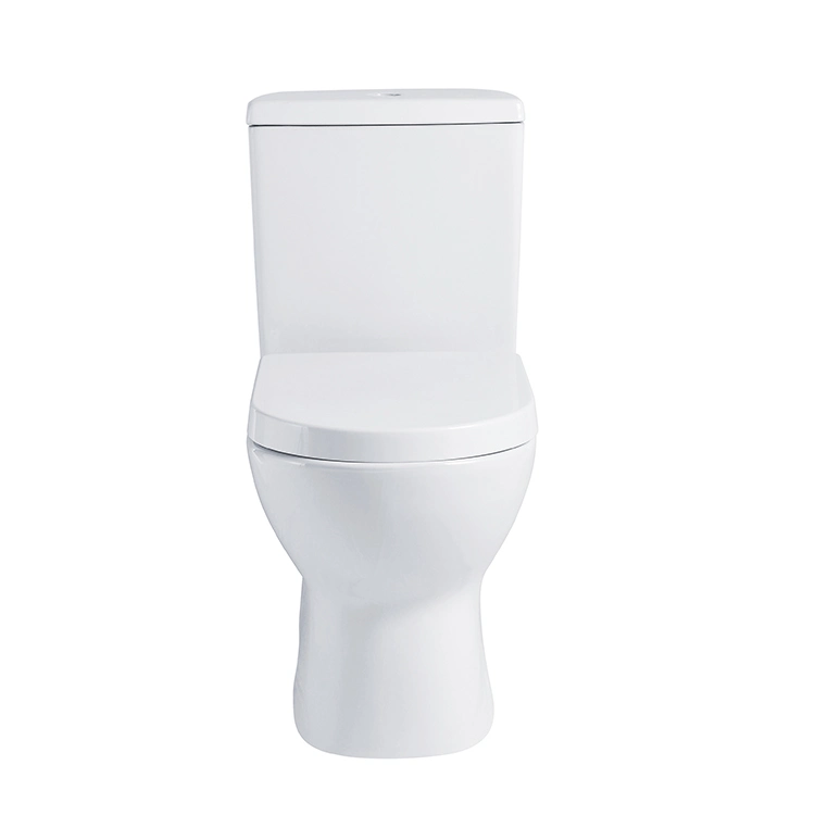 Middle East Washdown S-Trap 250mm P-Trap 180mm Roughing in Two Piece Toilet Bowl Wc Toilet