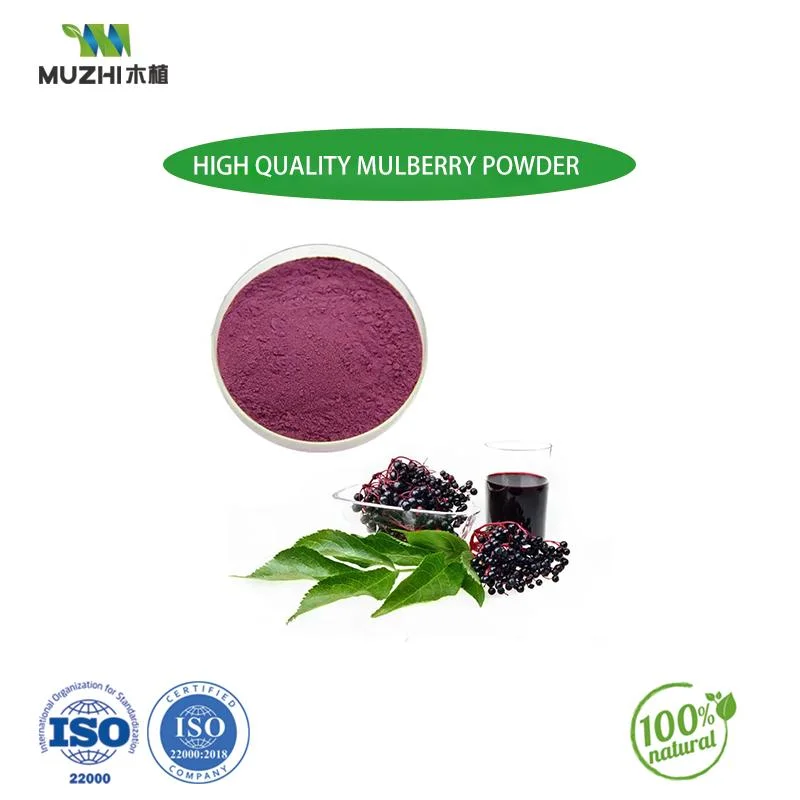 Factory Supplier Bulk Price Weight Control Supplement Organic Apple Fruit