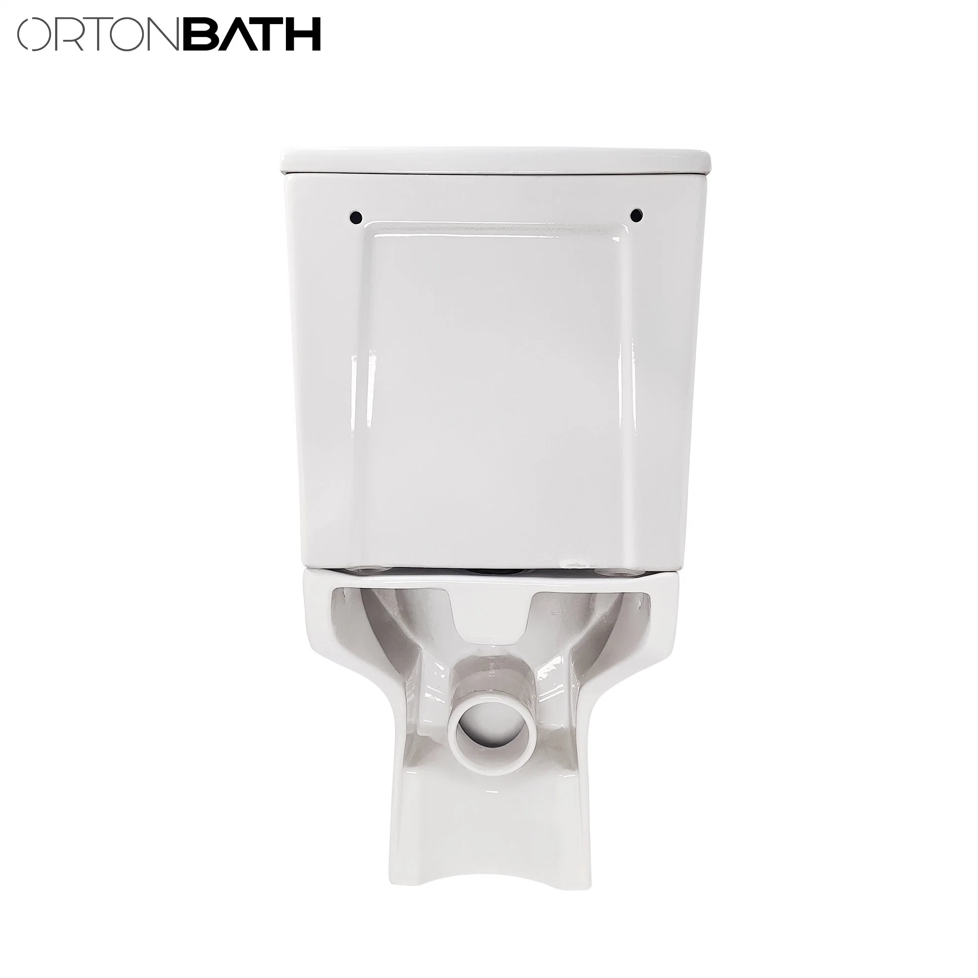 Ortonbath Dual Flush Toilet, UF Soft Closing Seat, Toilets for Bathrooms Comfort Height Oval Ceramic Two Piece Toilet