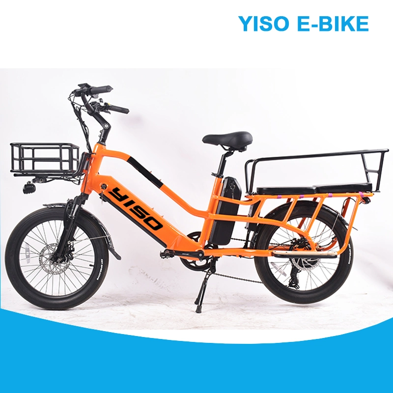 500W Good Price Best Food Delivery Bicycle