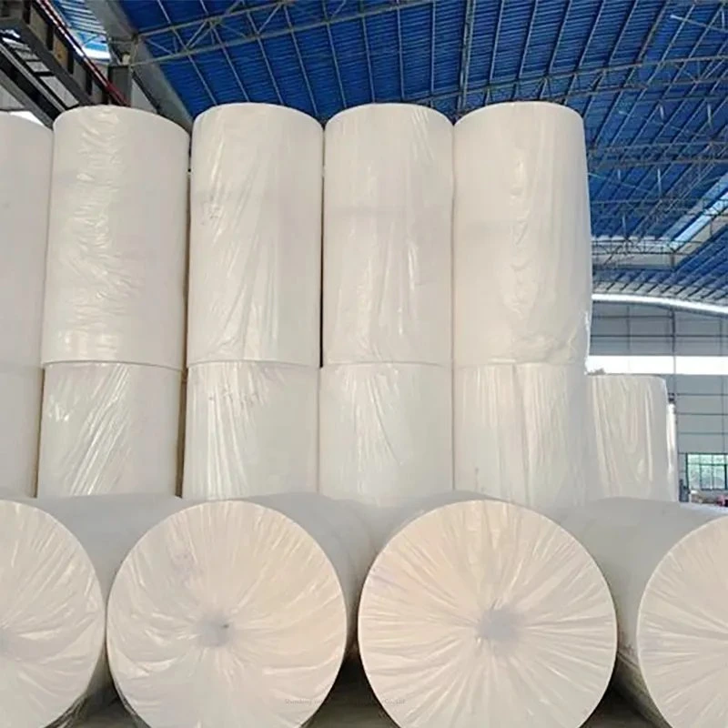 Wholesale/Supplier High quality/High cost performance  Soft 2ply Bathroom Jumbo Roll Toilet Tissue