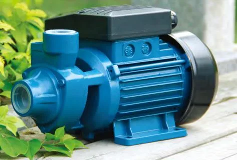 Mini Electric Water Pump /Stainless Steel Jet Pump/Vortex Pump