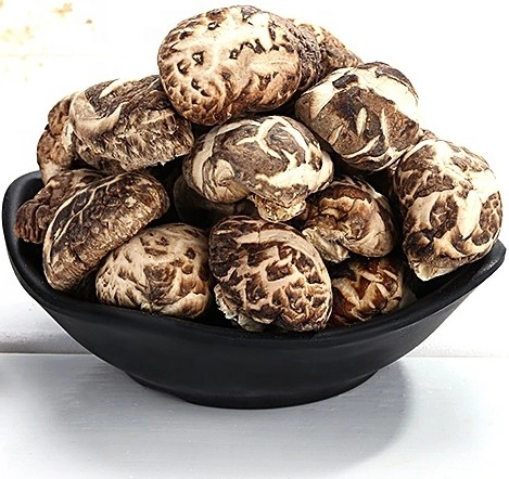 Dehydrated Tea Flower Mushroom Dried Lentinus Edodes 4-6cm