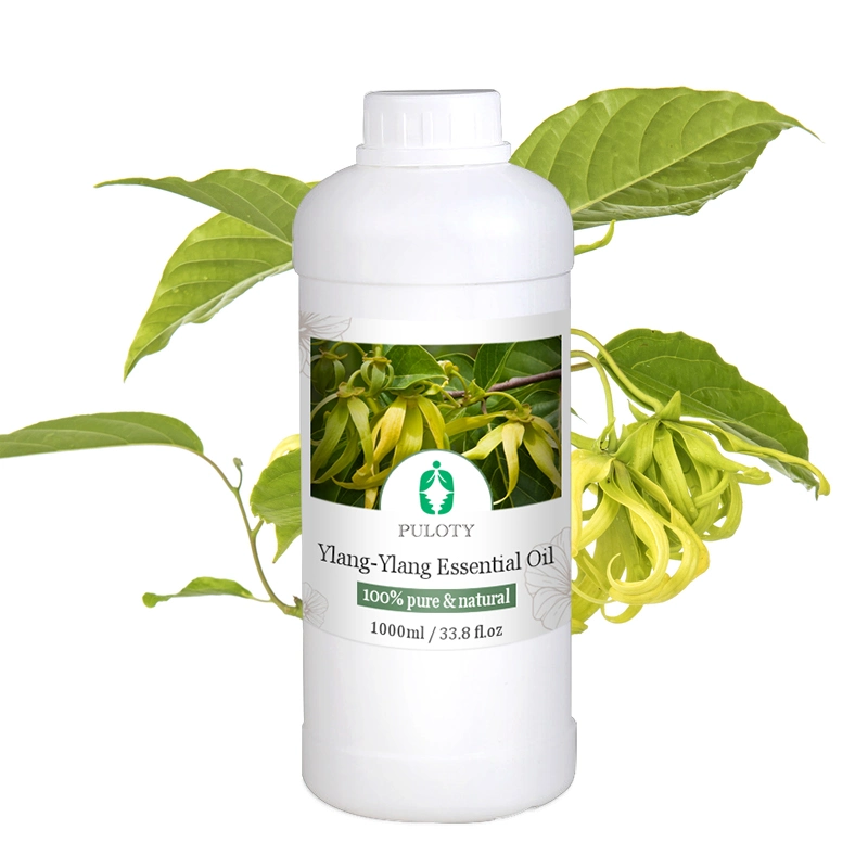 Bio ätherisches Öl Beauty Produkt für Massage Ylang Ylang Öl