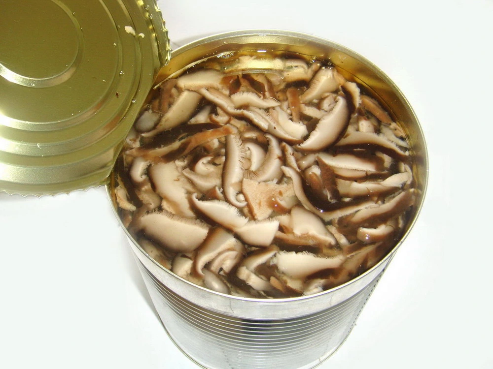 Canned Shiitake Mushroom From China