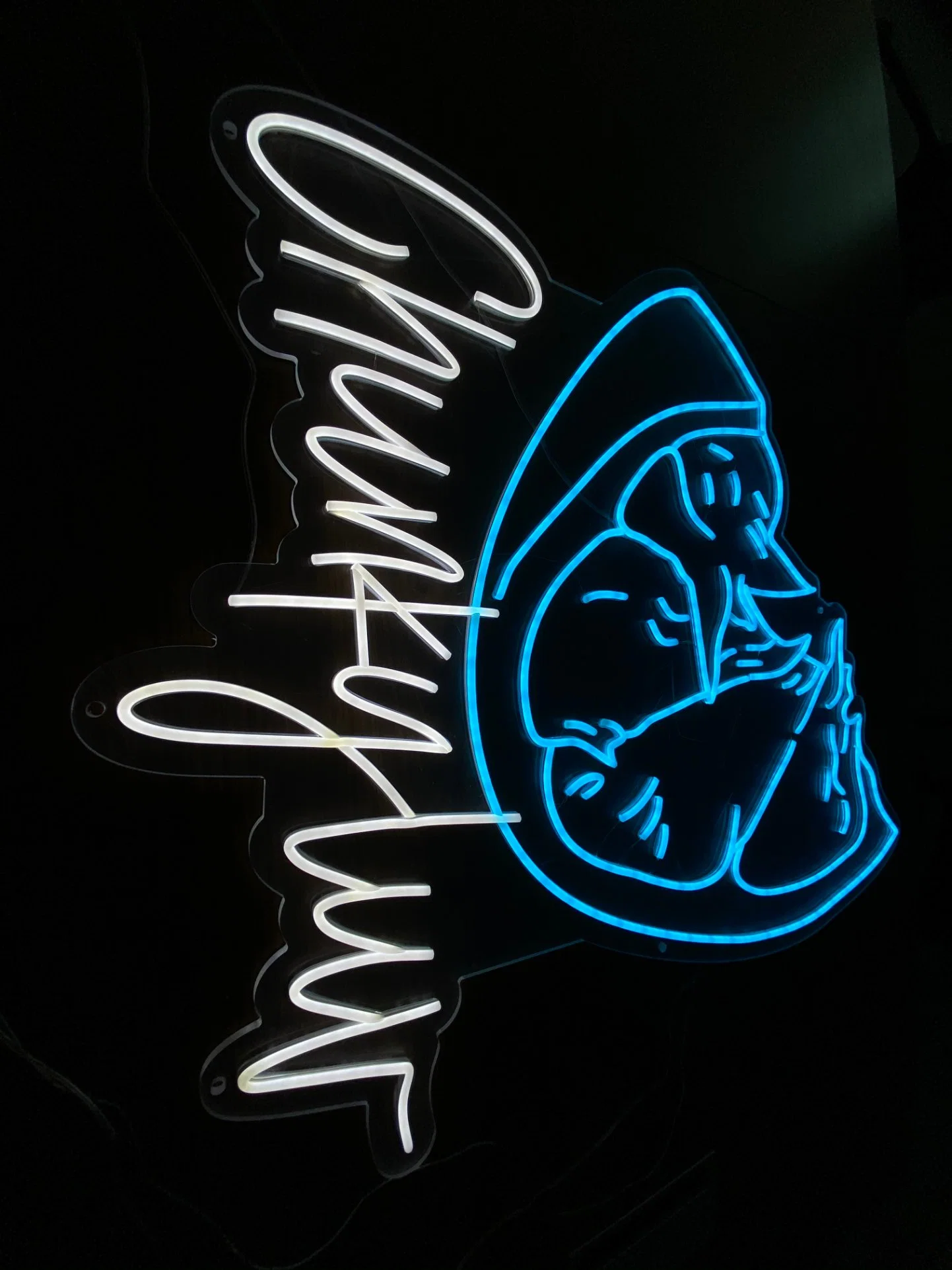 Neon Signs Can Be Customized with LED Lights