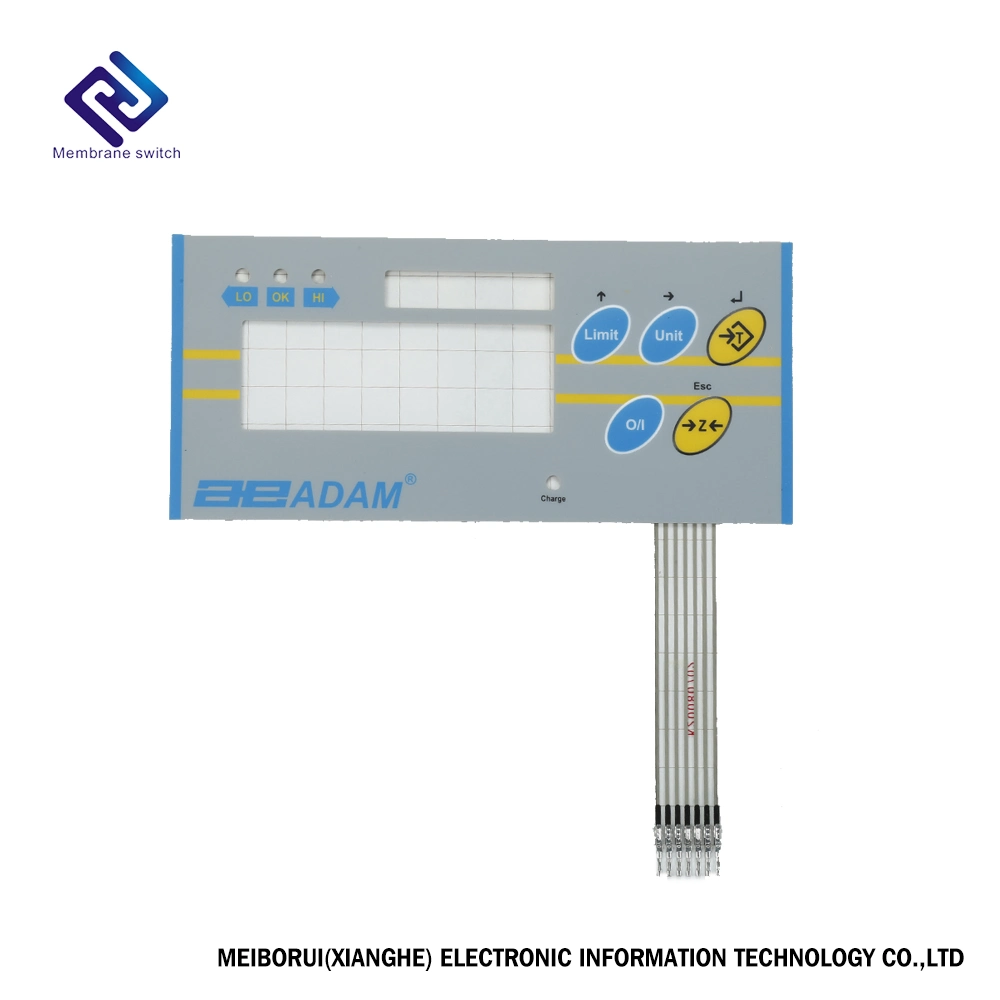 Colorful Pet/PC Overlay Membrane Switch for Leaning Machine1