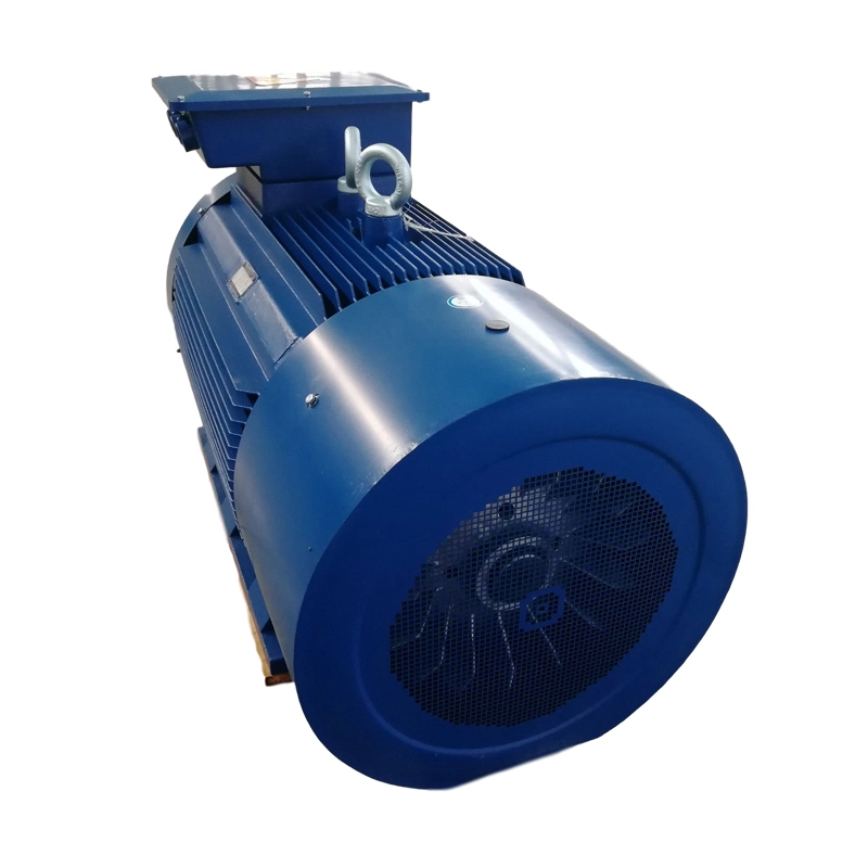 Low Speed Y2-450-12-355kw Squirrel-Cage AC Motor 495r/Min IP55