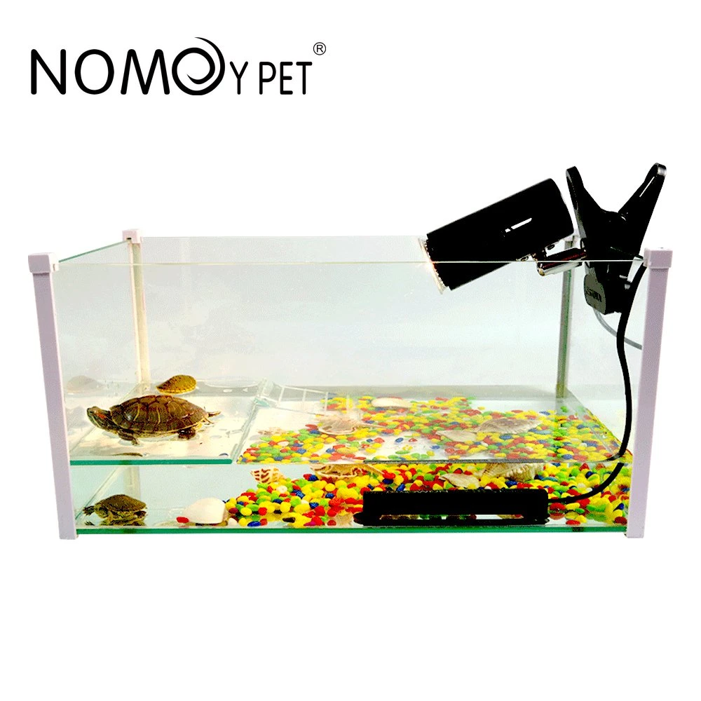 Nomoy Pet Hot Selling Hochwertige Bruchsichere Transparente Glas New Fish Schildkrötenpanzer