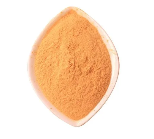 Carrot Powder Fruit & Vegetabel Extract Powder